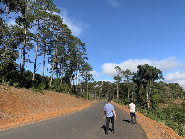 Nhiều đất rừng chưa được chuyển đổi nhưng UBND huyện Kon Plông đã cho triển khai dự án