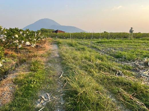 Đất nông nghiệp Tân Châu Tây Ninh – Cơ hội đầu tư với vốn thấp